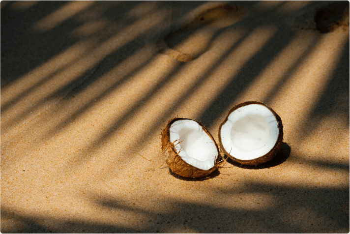 Coconuts on sand