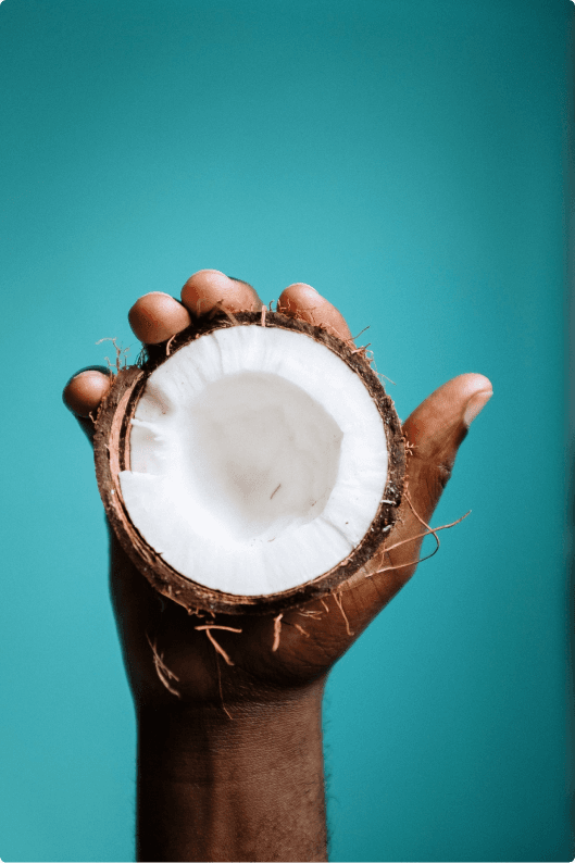 Coconut on hand