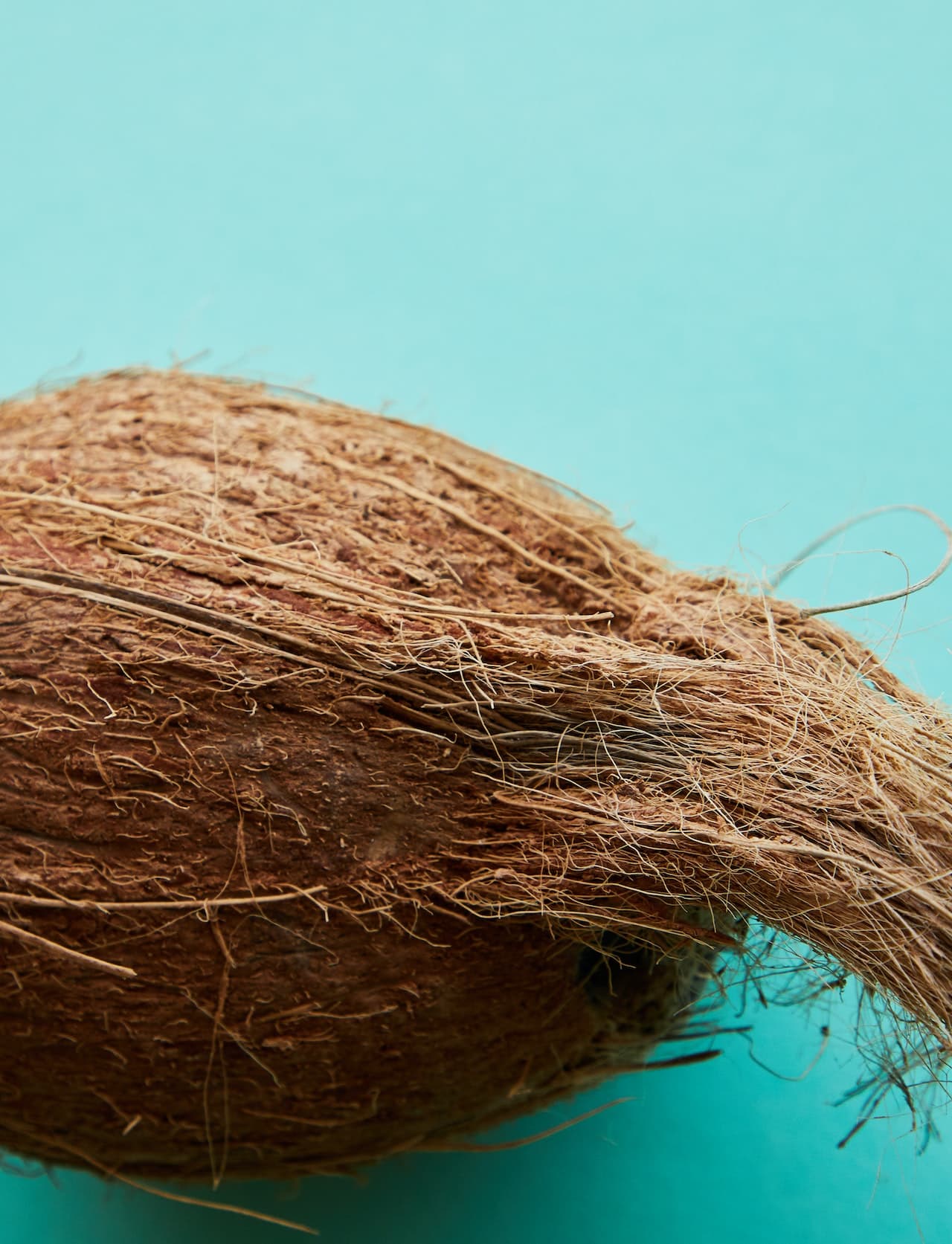 Coconut Fiber